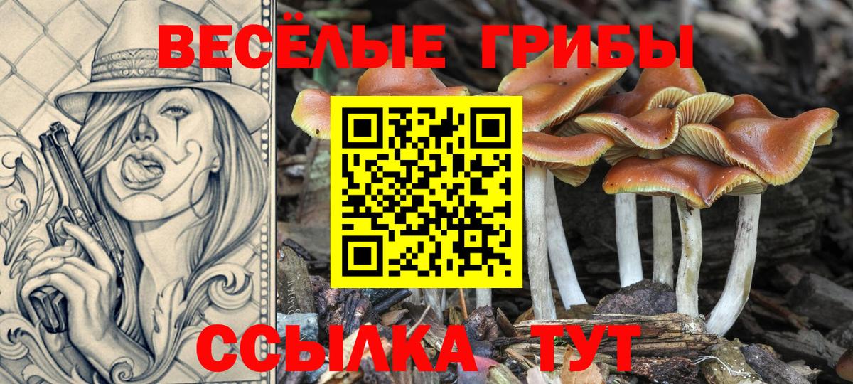 Псилоцибиновые грибы мухоморы  Псилоцибиновые грибы Psilocybe  Вход с VPN  Гулькевичи 